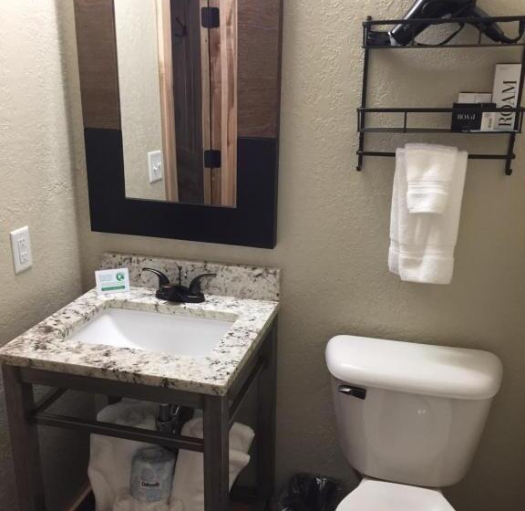 带大床的标准间, Roam Inn