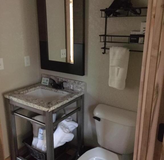 带大床的套房, Roam Inn