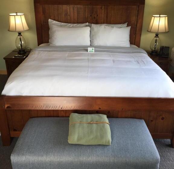 带大床的标准间, Roam Inn