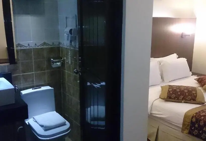 اتاق سوپریور, & Apartment Ambassador 3