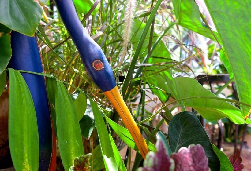 스탠다드 룸, Baia Sonambula