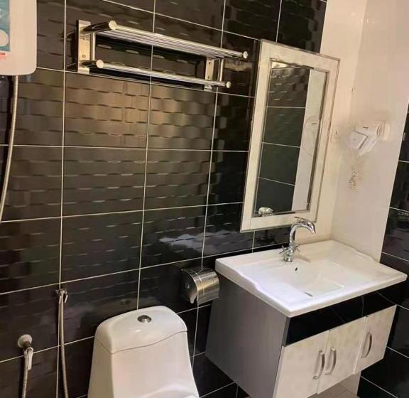 Standardrum, Dolphin