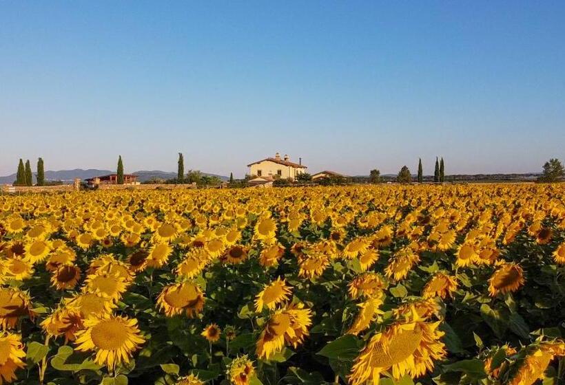 فيلا غرفة نوم واحدة مع مسبح, Casa Terzerie