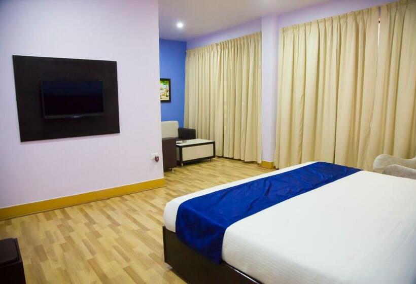 带大床的高级房间, The Kannelite