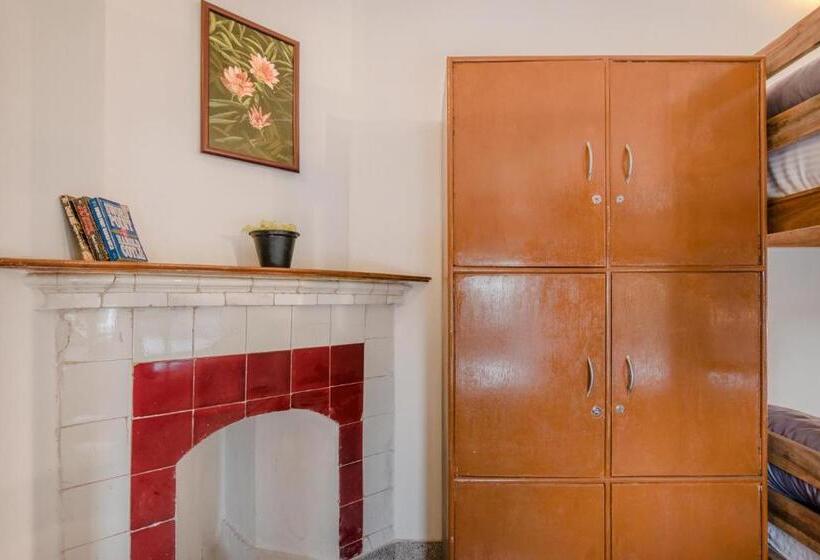 سرير فى غرفة مشتركه, Zostel Ooty