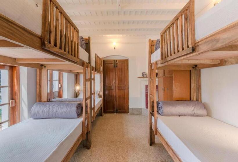 سرير فى غرفة مشتركه, Zostel Ooty