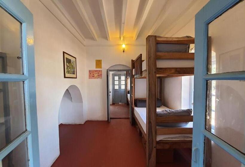 سرير فى غرفة مشتركه, Zostel Ooty