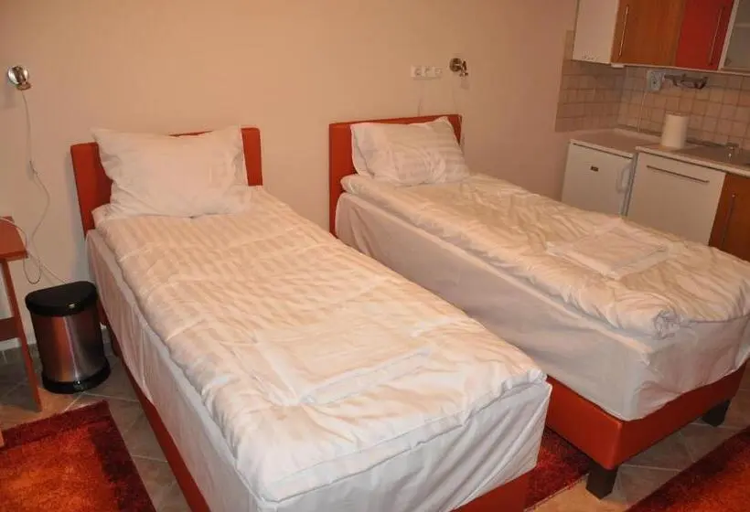استودیوی استاندارد, Sport