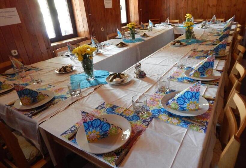 اتاق خانوادگی, Sport