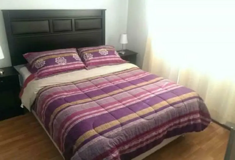 Chambre Standard, Con C