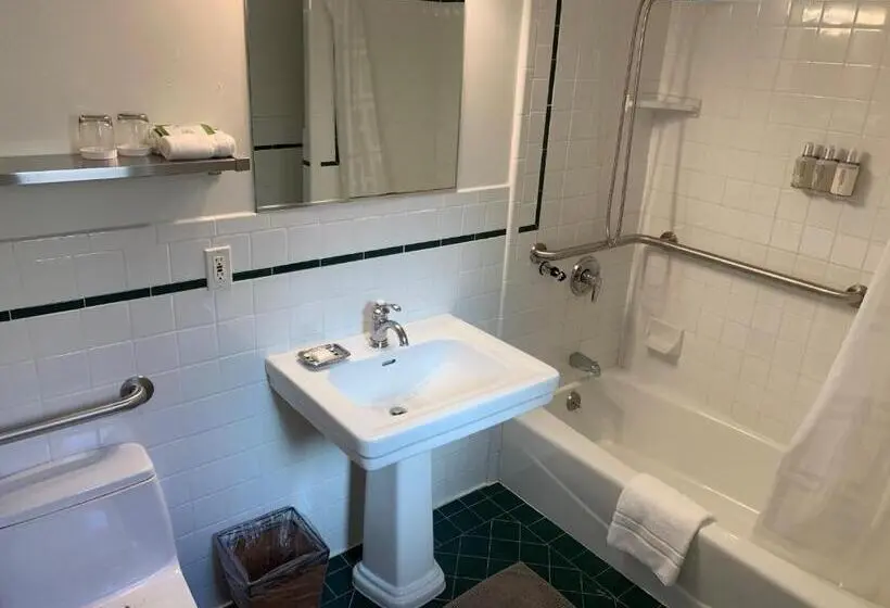 اتاق استاندارد با تخت بزرگ برای معلولان, Parker Guest House