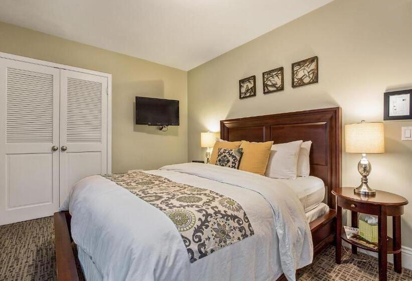 اتاق استاندارد با تخت بزرگ برای معلولان, Parker Guest House