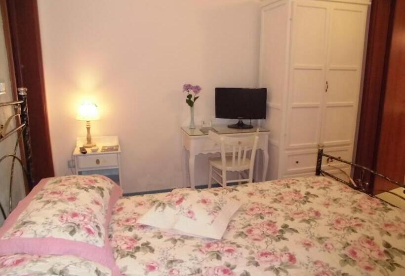 חדר סטנדרט לארבעה, Araucaria