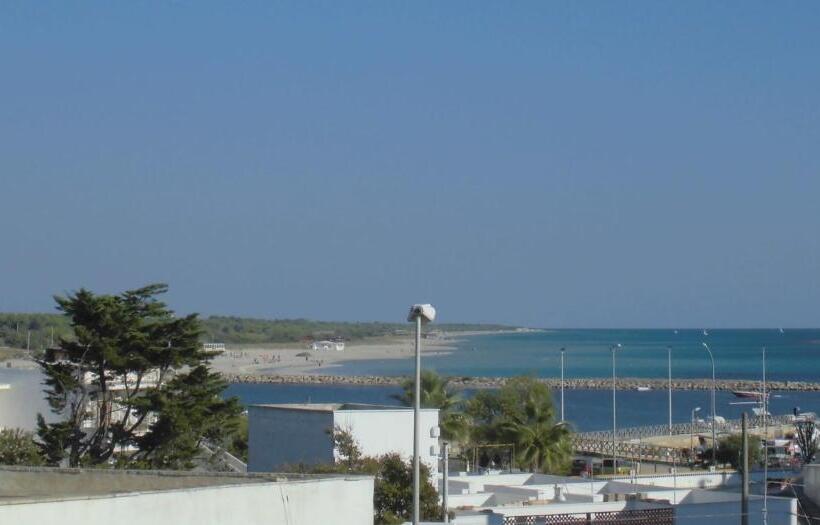 חדר סטנדרט לארבעה, Araucaria