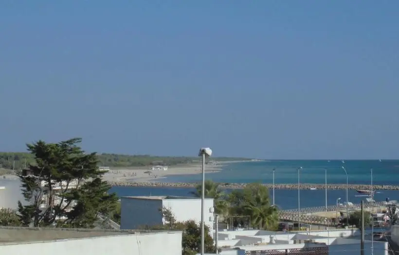 スタンダード４人部屋, Araucaria
