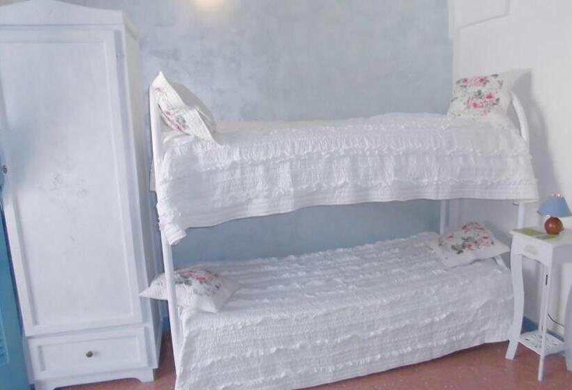 חדר סטנדרט לארבעה, Araucaria