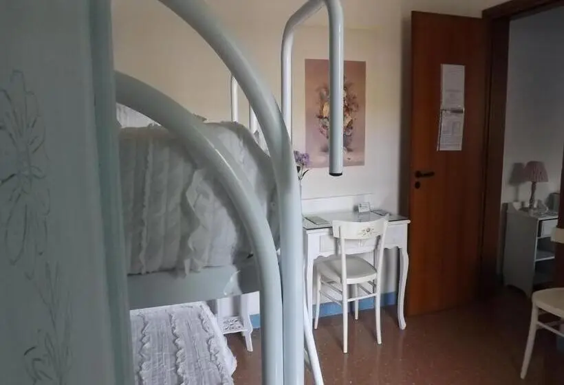 スタンダード４人部屋, Araucaria