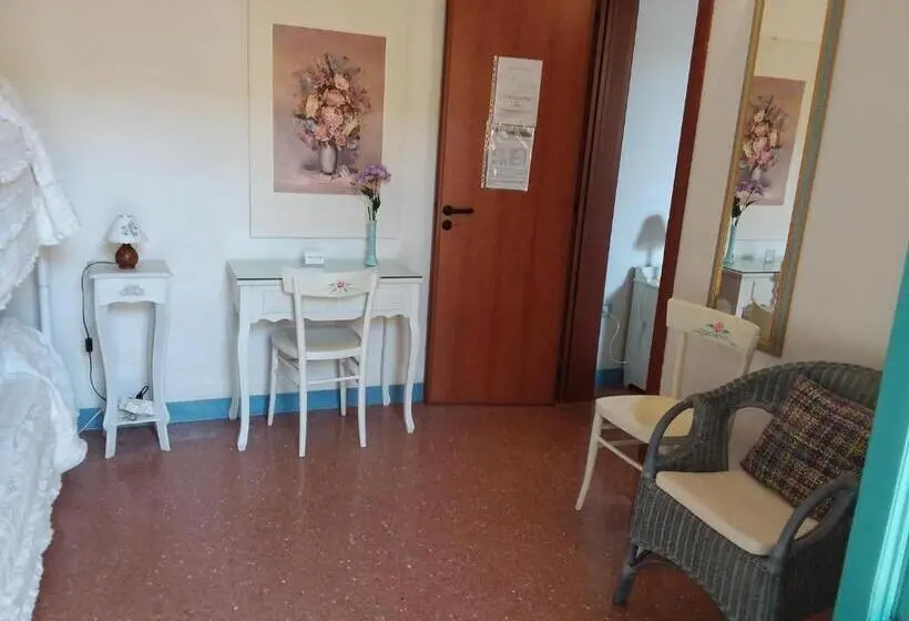 スタンダード４人部屋, Araucaria