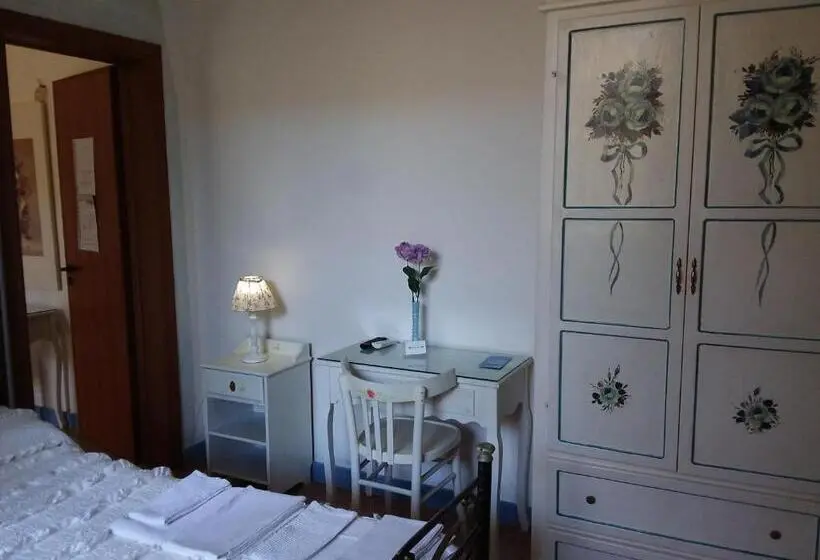 スタンダード４人部屋, Araucaria