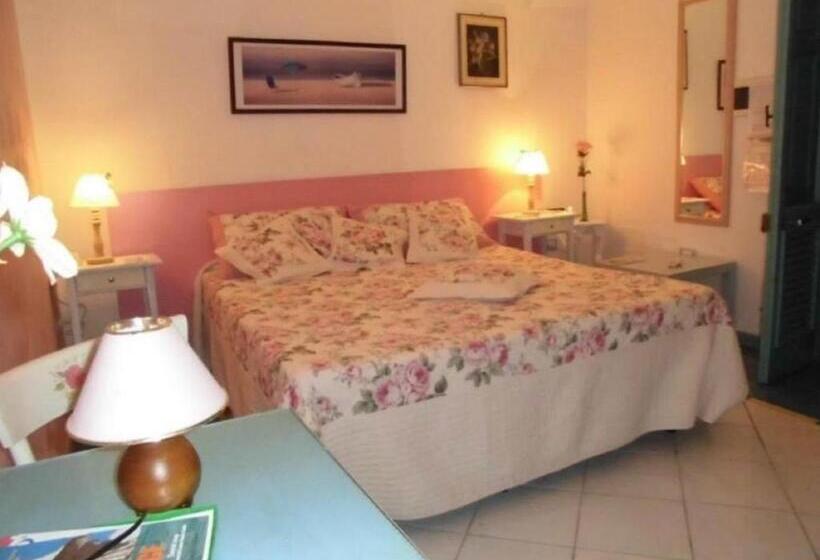 חדר סטנדרט, Araucaria