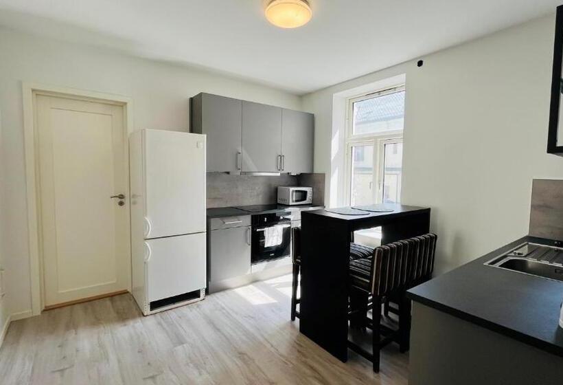 آپارتمان 1 خوابه, Norhostel Apartment