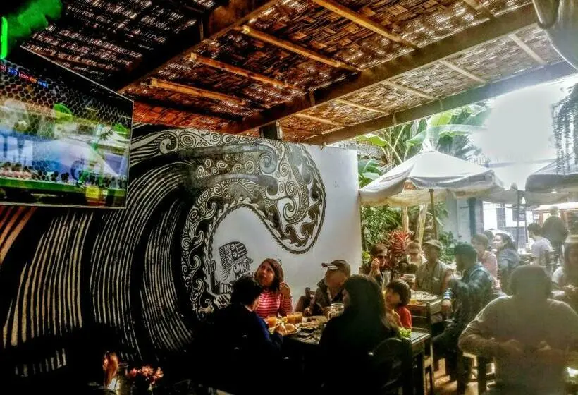 تختخواب در اتاق مشترک, My Friend Surf Hostal
