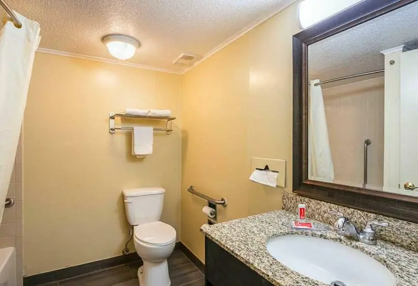 2ダブルベッドのスタンダードルーム, Econo Lodge