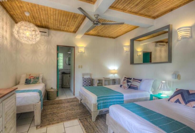 디럭스 방갈로, Guiones