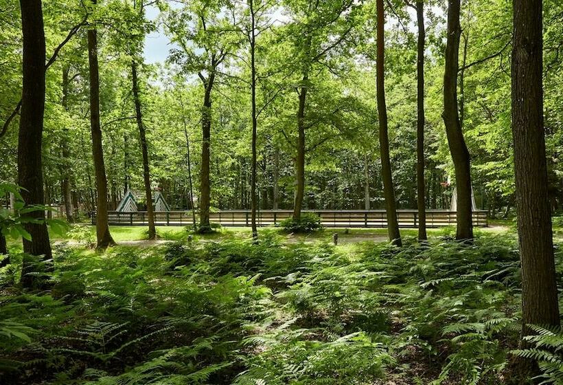 スーペリアールーム, Centre Portroyal