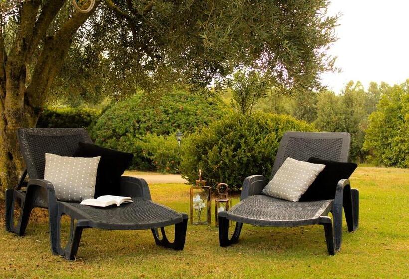 اتاق لوکس, B & B La Magia