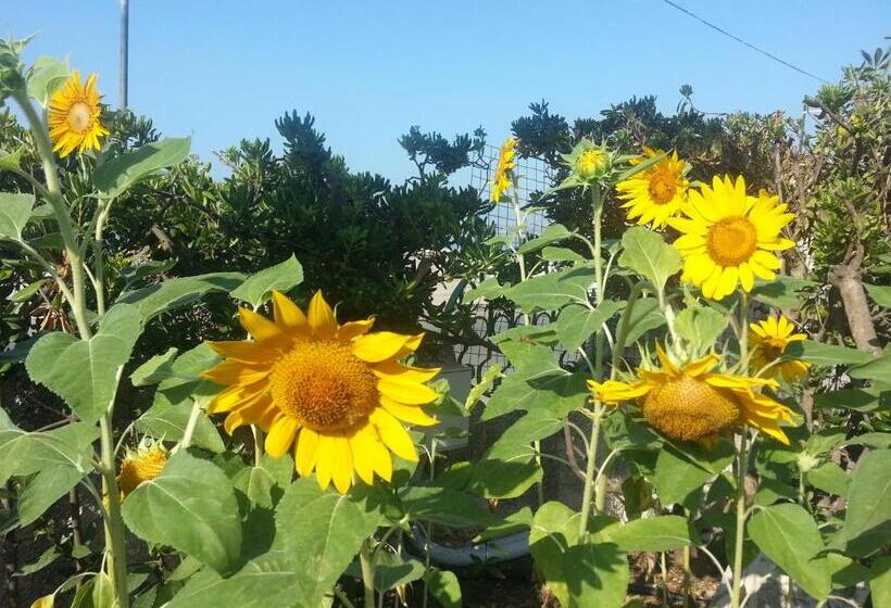 四人标准间, B&b Il Girasole Formia Guesthouse