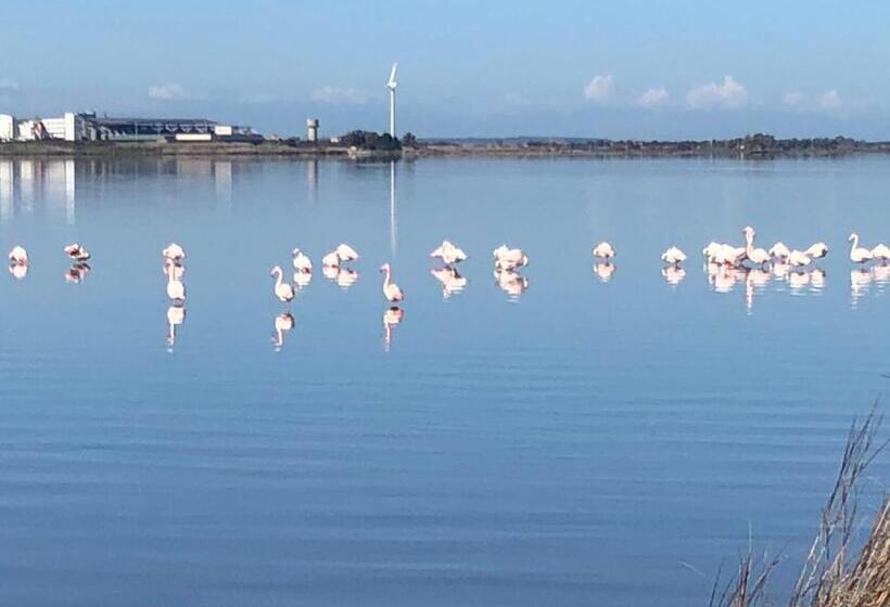 חדר סטנדרט נוף לגינה, B&b Su Fassoi