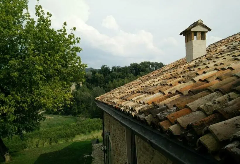 スタンダードルーム, Azienda Agricola Baccagnano