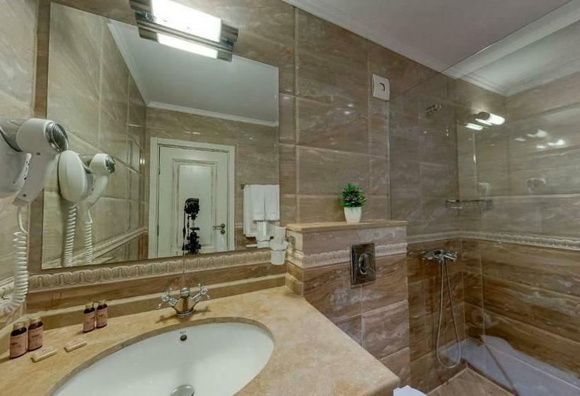 스탠다드 룸 공원 전망, Antik