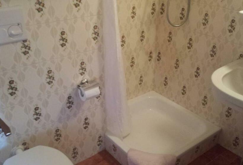 스탠다드 룸 산 전망, Pension Schönblick