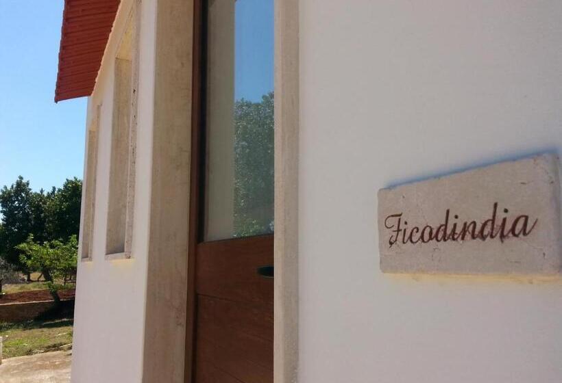 スタンダードルーム, B&b Demetra