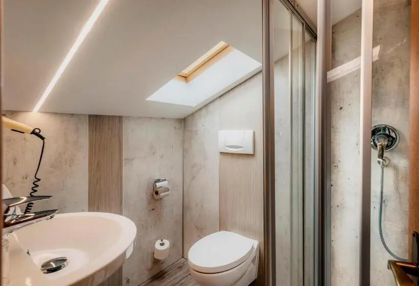 Basic Yhden Hengen Huone, Pension Florian