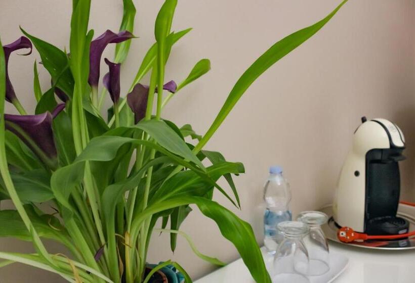 غرفة قياسية ثلاثية, Barocco B&b