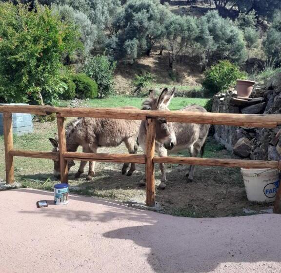 Standard room with outdoor bath, B&b Sa Funtana