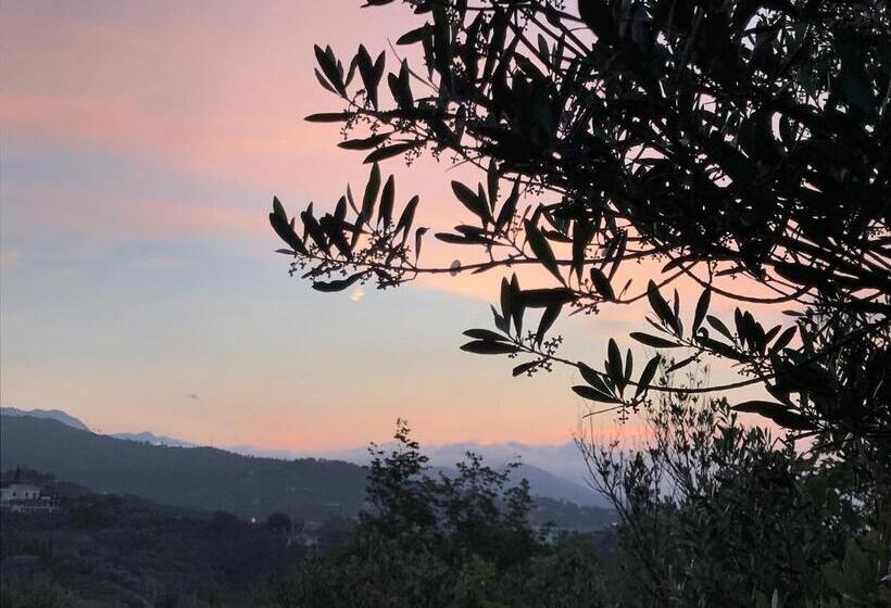 景色の見えるスタンダード4人部屋, Agriturismo Gocce Di Luna