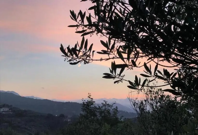 景色の見えるスタンダード4人部屋, Agriturismo Gocce Di Luna