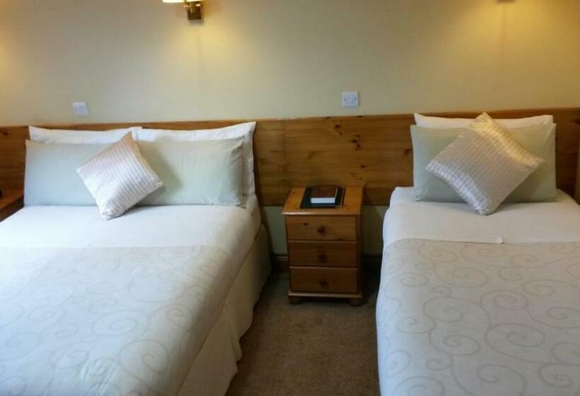 غرفة قياسية, Ballyraine Guesthouse