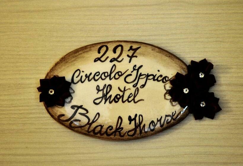 غرفة قياسية فردية, Relais Black Horse