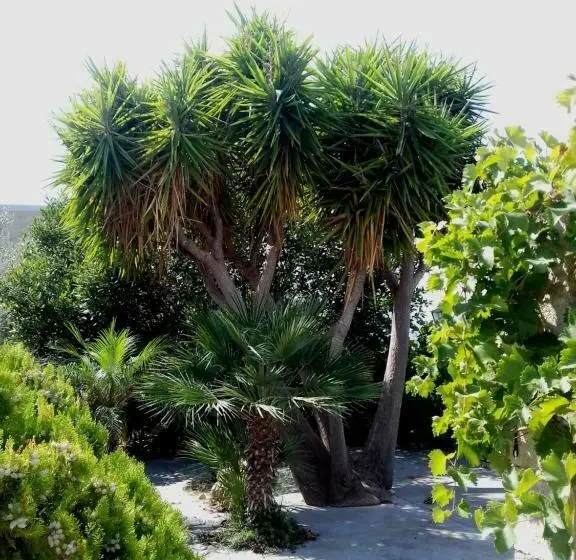 اتاق استاندارد, Ronnavona Casa Vacanze B&b