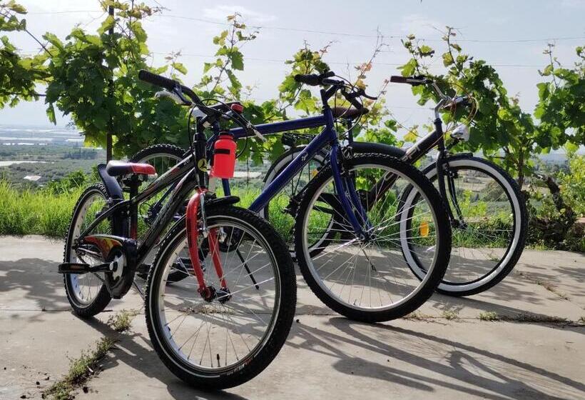 جناح, Ronnavona Casa Vacanze B&b