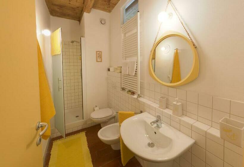 اتاق استاندارد, Campodisole