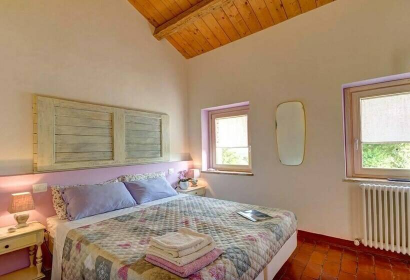 اتاق استاندارد, Campodisole