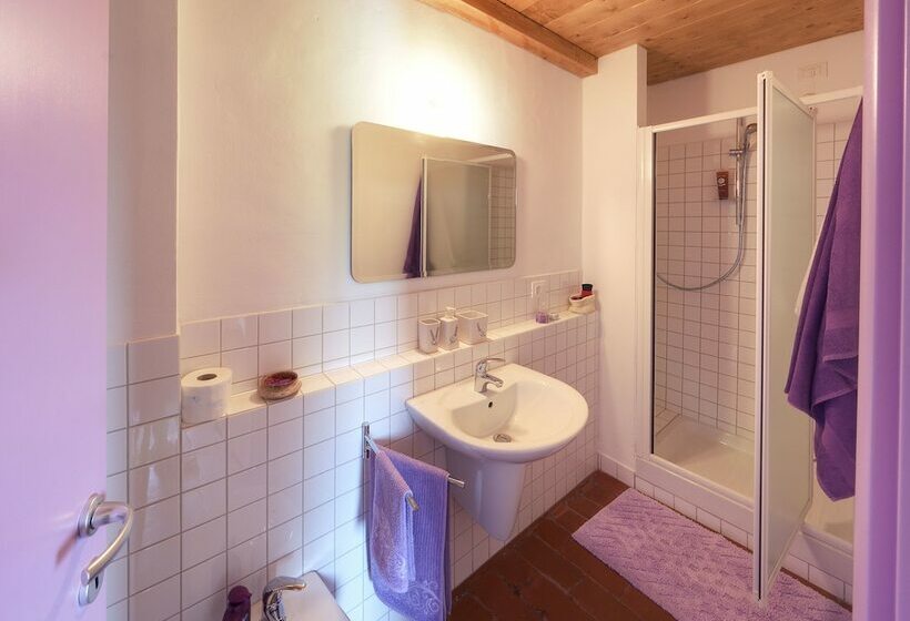 اتاق استاندارد, Campodisole