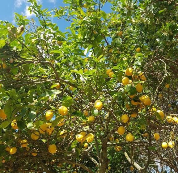 اتاق استاندارد, Casa Di Campagna Dal Pozzo