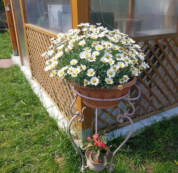 ویلای استاندارد با چشمانداز باغ, Casa Di Campagna Dal Pozzo